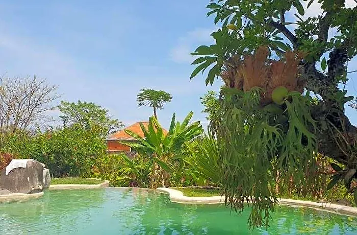 Bali Jepang