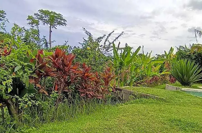 Bali Jepang 4* Jalan Damai
